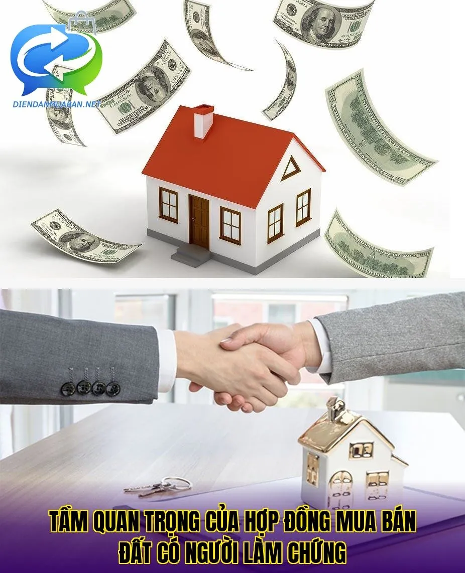 Tầm quan trọng của hợp đồng mua bán đất có người làm chứng