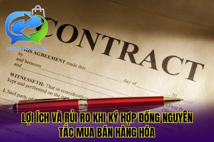 Lợi ích và rủi ro khi ký hợp đồng nguyên tắc mua bán hàng hóa