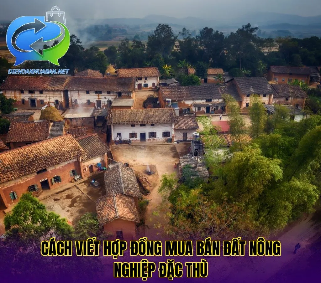 Cách viết hợp đồng mua bán đất nông nghiệp đặc thù