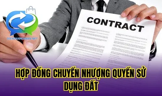 Hợp đồng chuyển nhượng quyền sử dụng đất