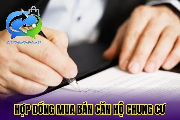 Hợp đồng mua bán căn hộ chung cư