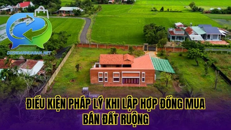 Điều kiện pháp lý khi lập hợp đồng mua bán đất ruộng
