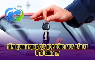 Tầm quan trọng của hợp đồng mua bán xe ô tô công ty