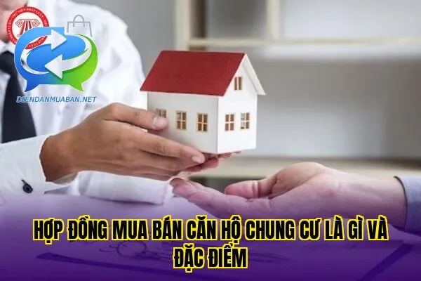 Hợp đồng mua bán căn hộ chung cư là gì và đặc điểm