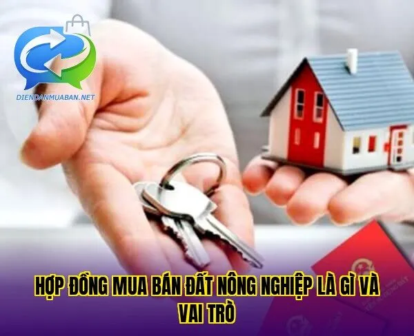 Hợp đồng mua bán đất nông nghiệp là gì và vai trò