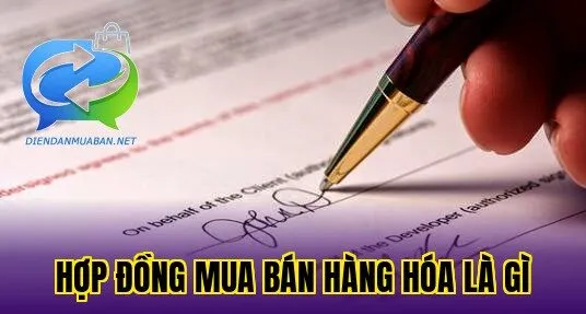 Hợp đồng mua bán hàng hóa là gì