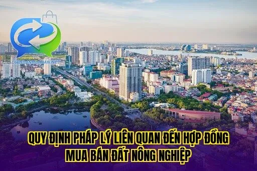 Quy định pháp lý liên quan đến hợp đồng mua bán đất nông nghiệp