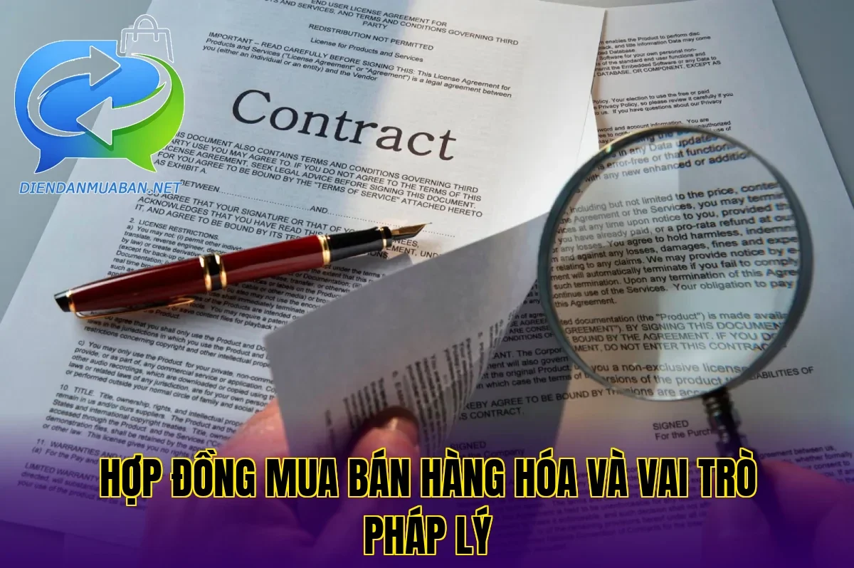 Hợp đồng mua bán hàng hóa và vai trò pháp lý