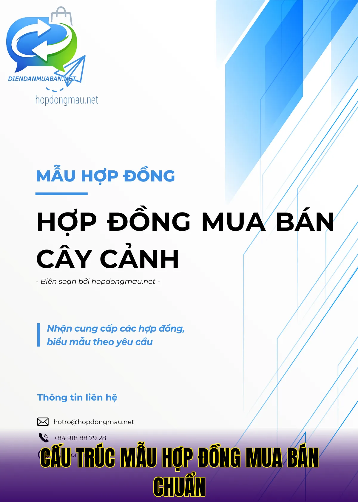 Cấu trúc mẫu hợp đồng mua bán chuẩn