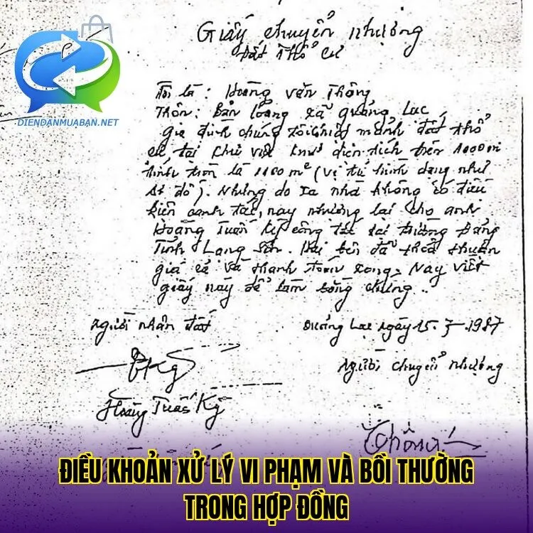 Điều khoản xử lý vi phạm và bồi thường trong hợp đồng
