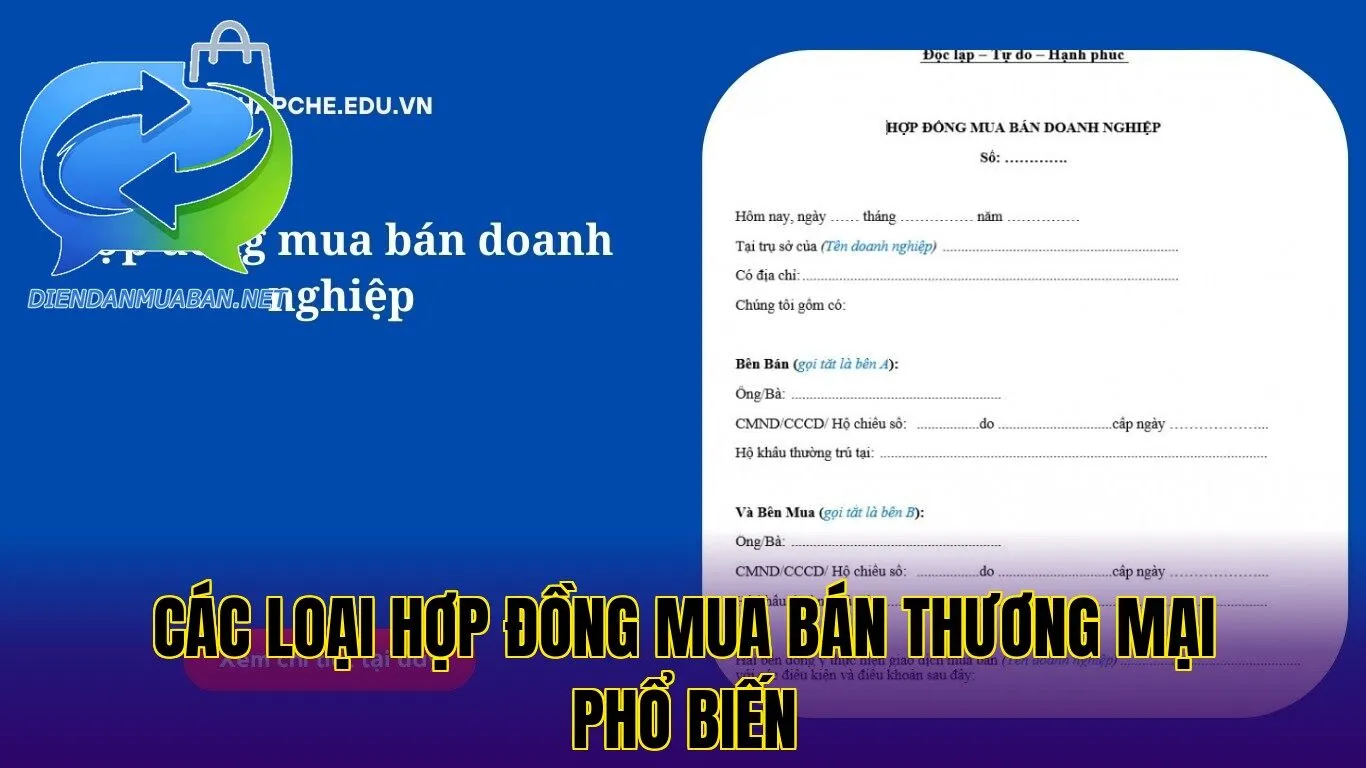Các loại hợp đồng mua bán thương mại phổ biến
