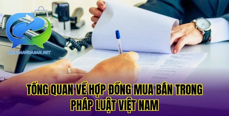 Tổng quan về hợp đồng mua bán trong pháp luật Việt Nam